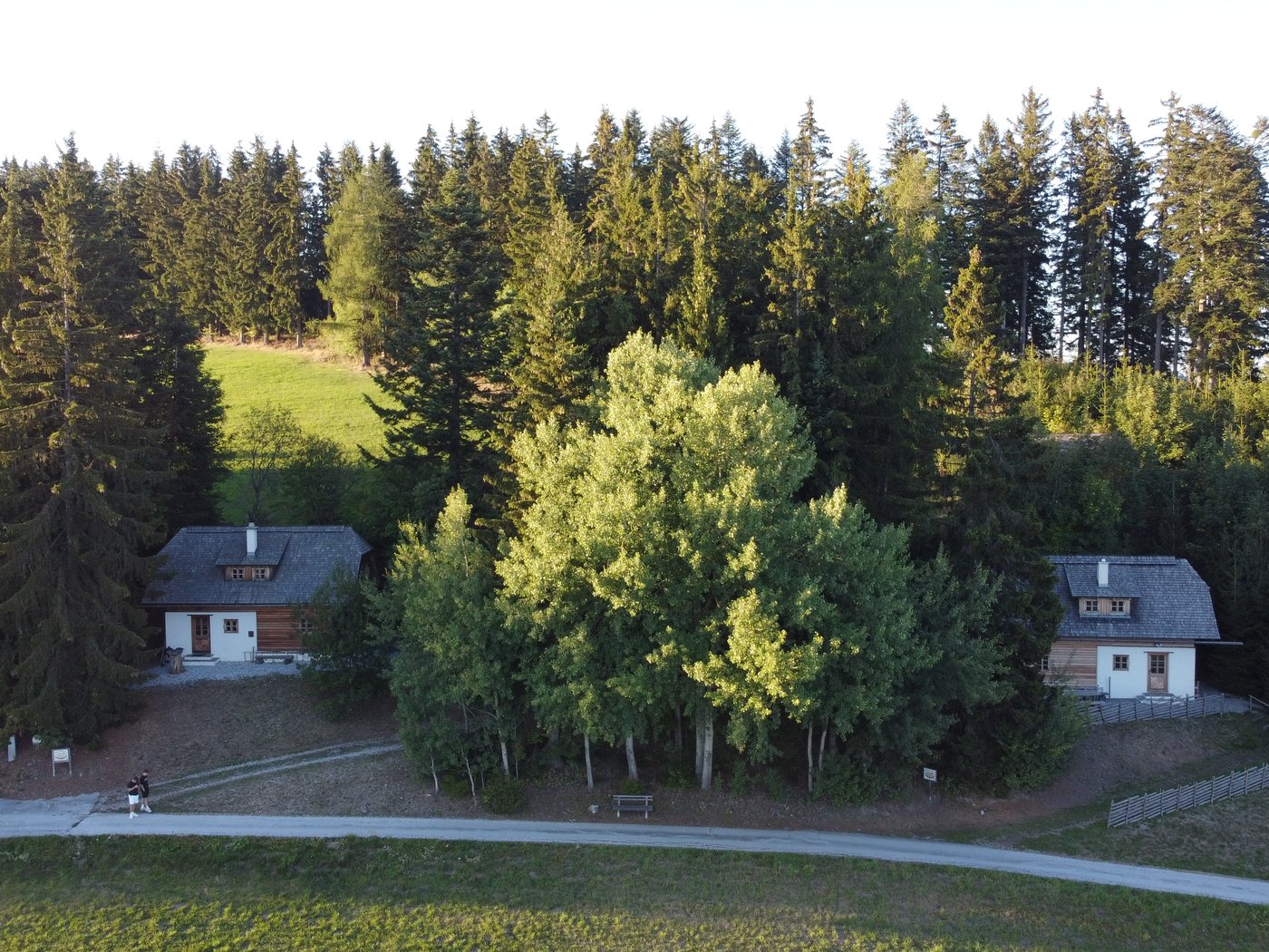 Luftaufnahme: die zwei baugleichen Ferienhäuser nebeneinander am Waldrand