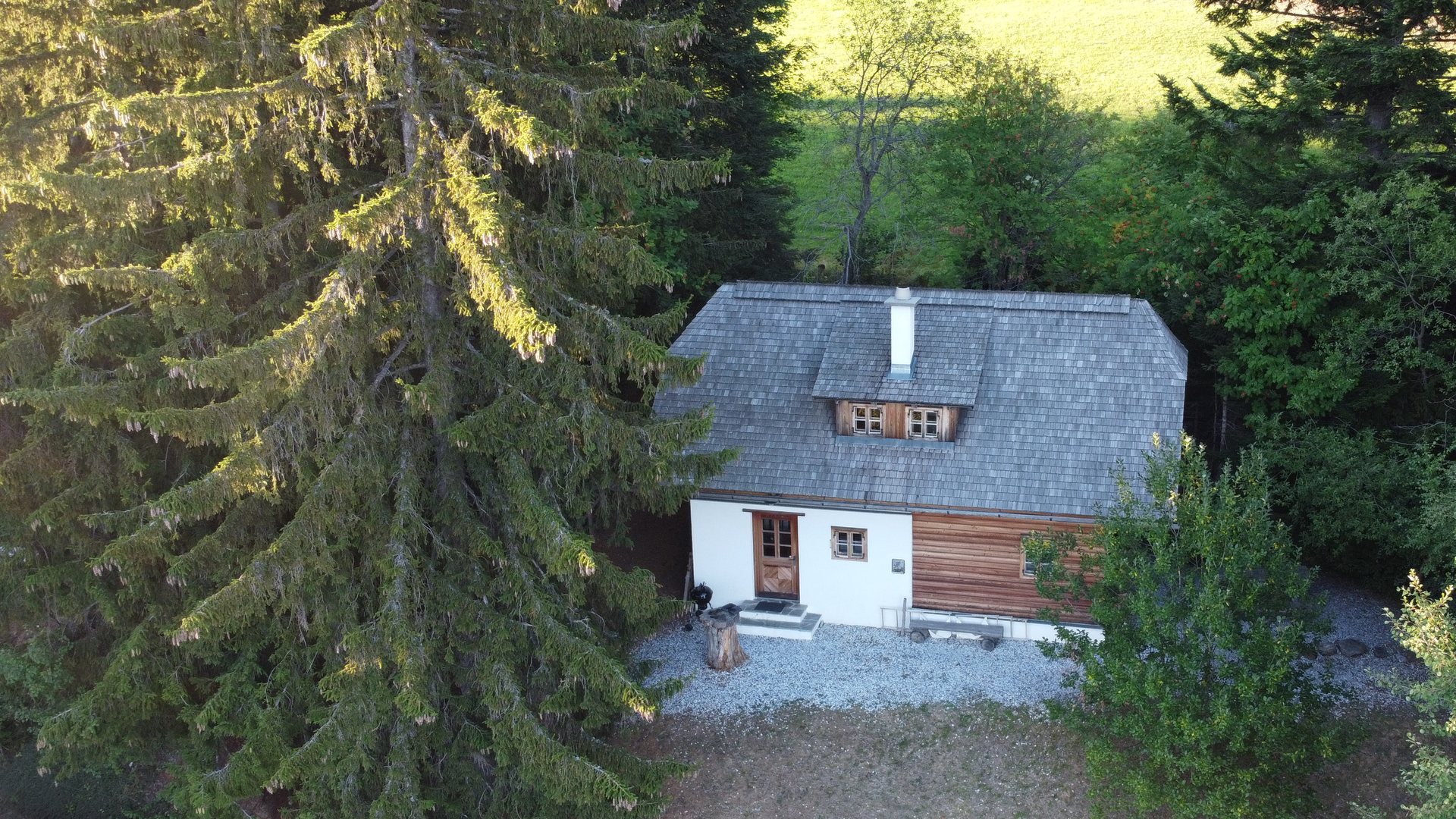 Brandluckner Nesterl von oben: Holzhaus mit Schindeldach zwischen hohen Tannen, dahinter eine Almwiese